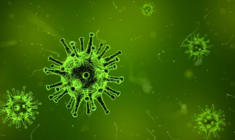 virus 1812092 1920 754x450