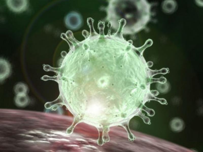 apo nyxterides gonidioma koronaios 2019 ncov